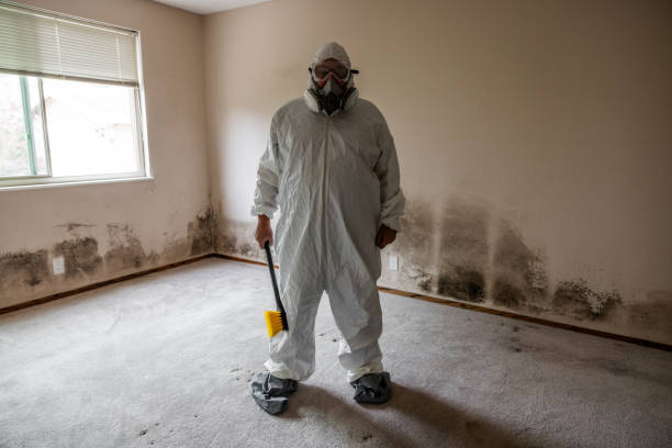 Home Mold Removal in Holyoke, CO